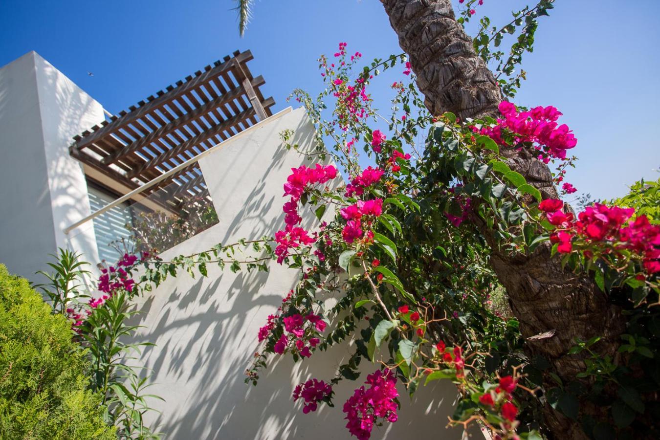 Penthouse Duplex Overlooking The Mediterranean Larnaca Exterior photo